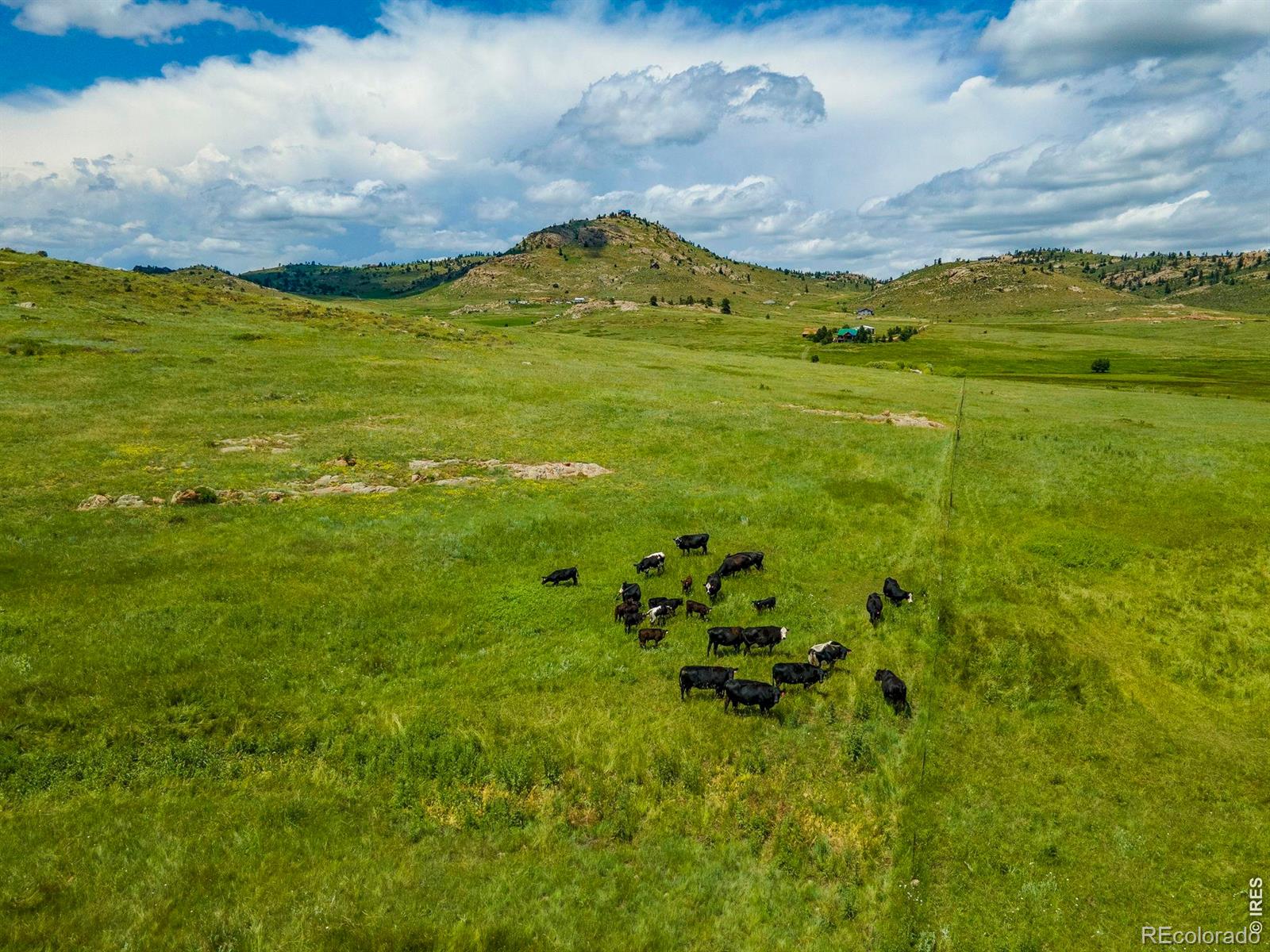 MLS Image #46 for 11881 w county road 74e ,livermore, Colorado