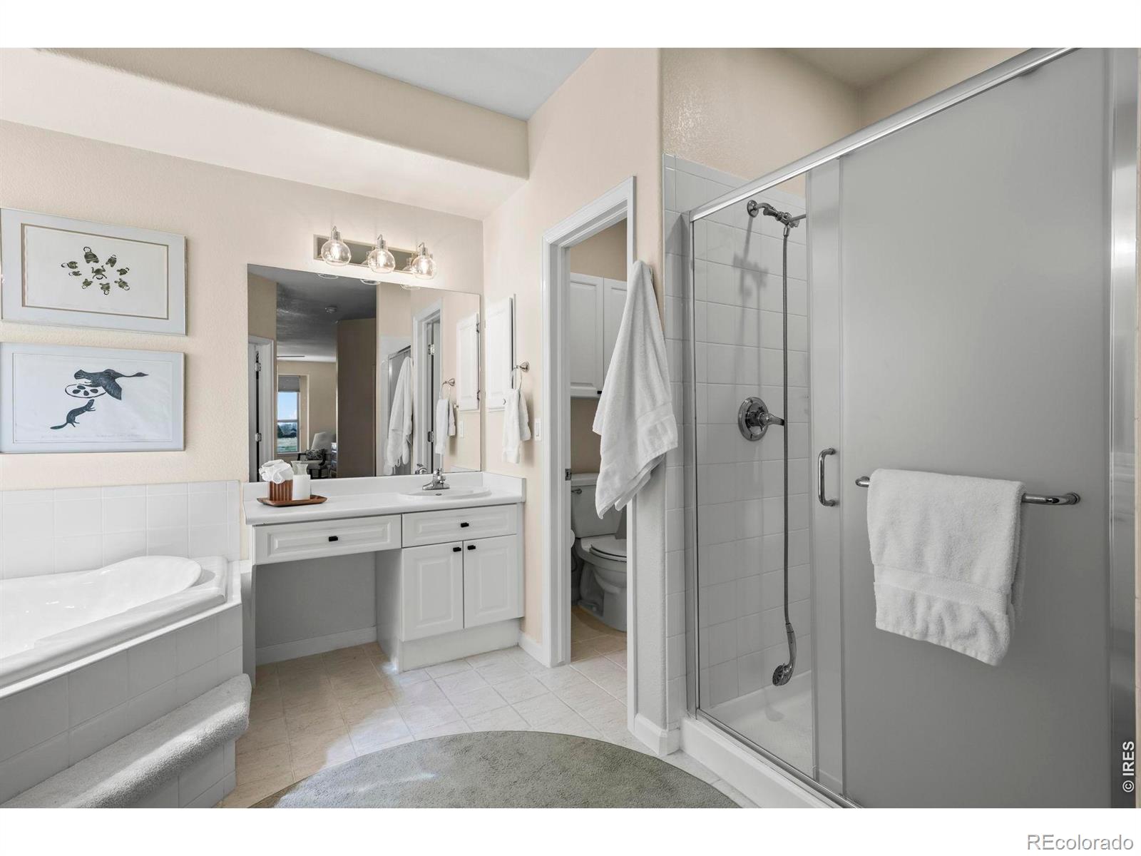 MLS Image #20 for 14090  turnberry court,broomfield, Colorado