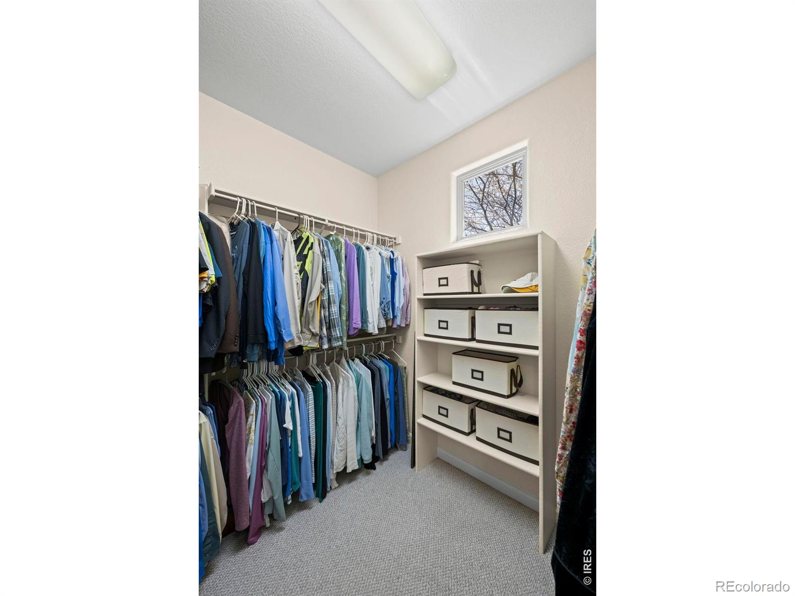 MLS Image #21 for 14090  turnberry court,broomfield, Colorado