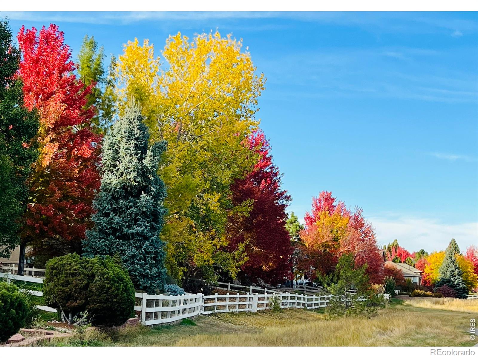 MLS Image #36 for 14090  turnberry court,broomfield, Colorado