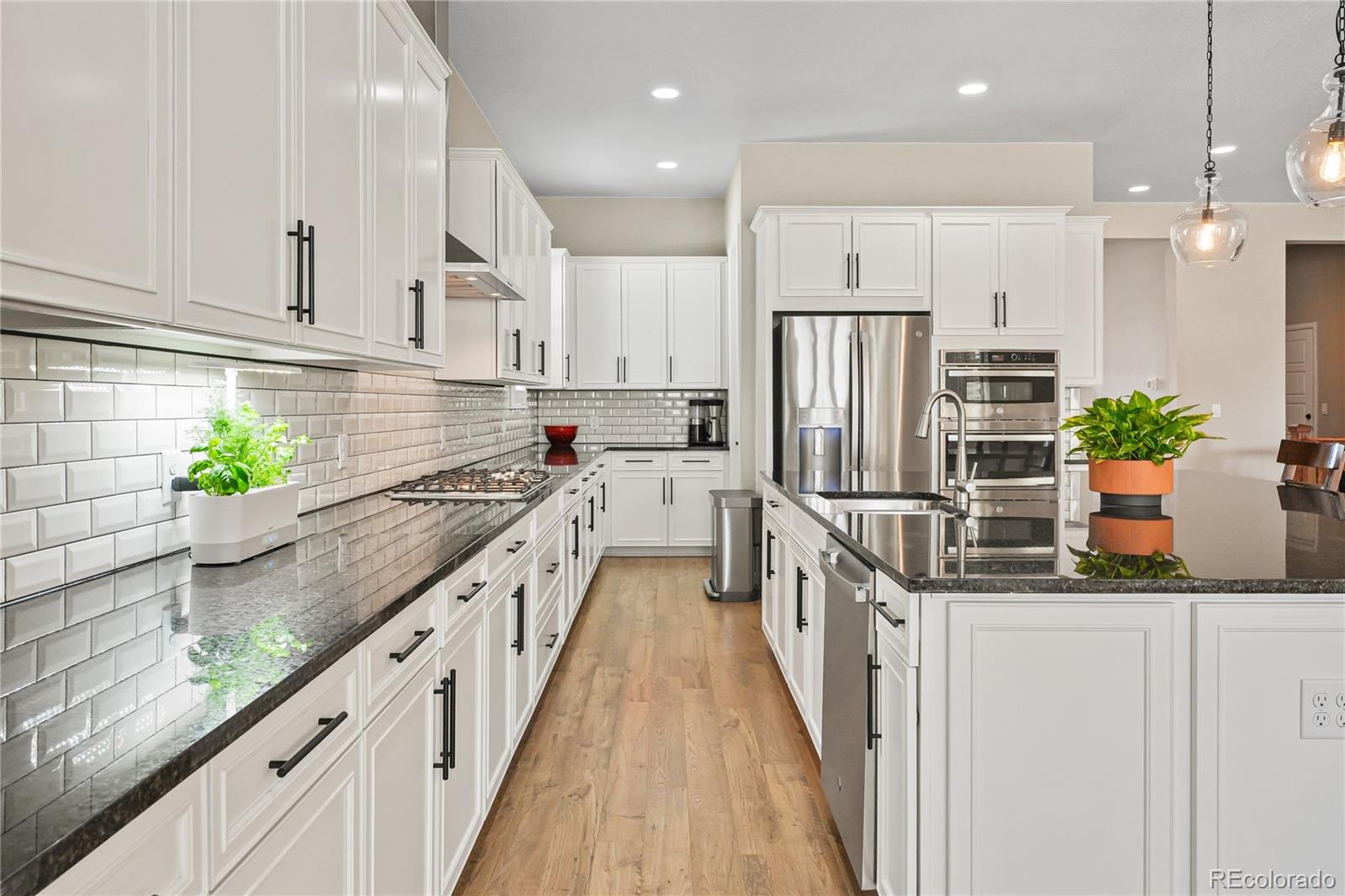 MLS Image #10 for 17106  birds foot avenue,parker, Colorado