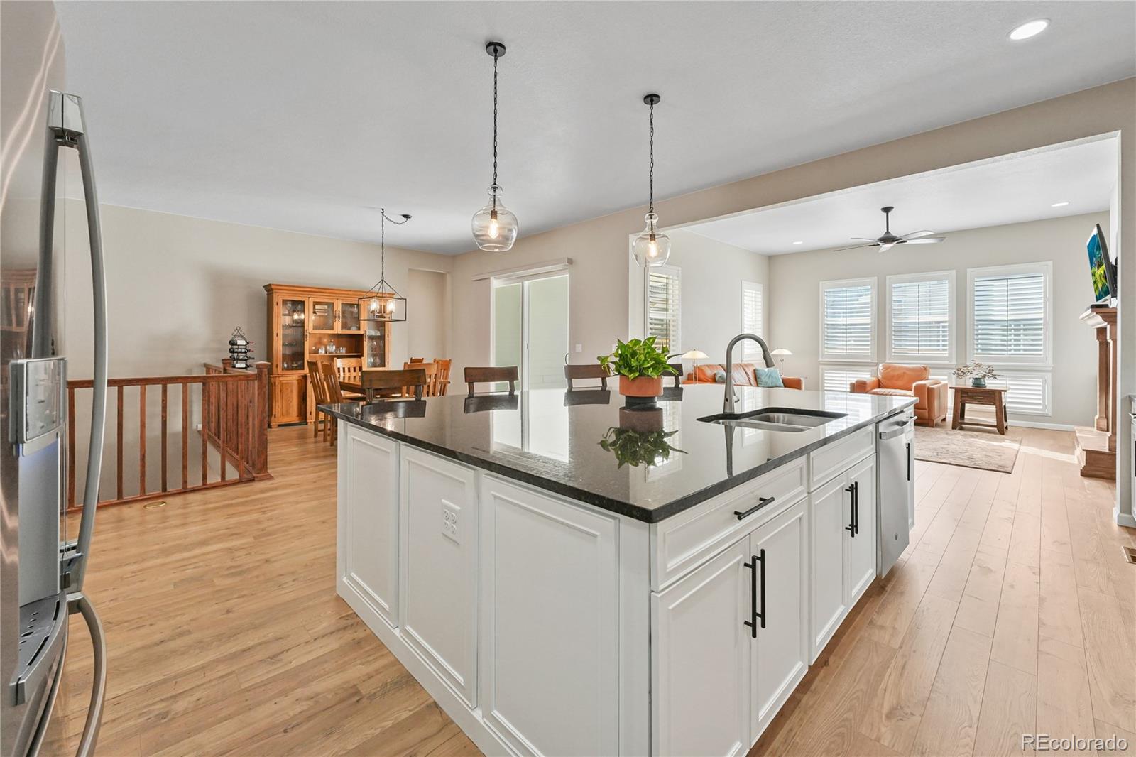 MLS Image #12 for 17106  birds foot avenue,parker, Colorado