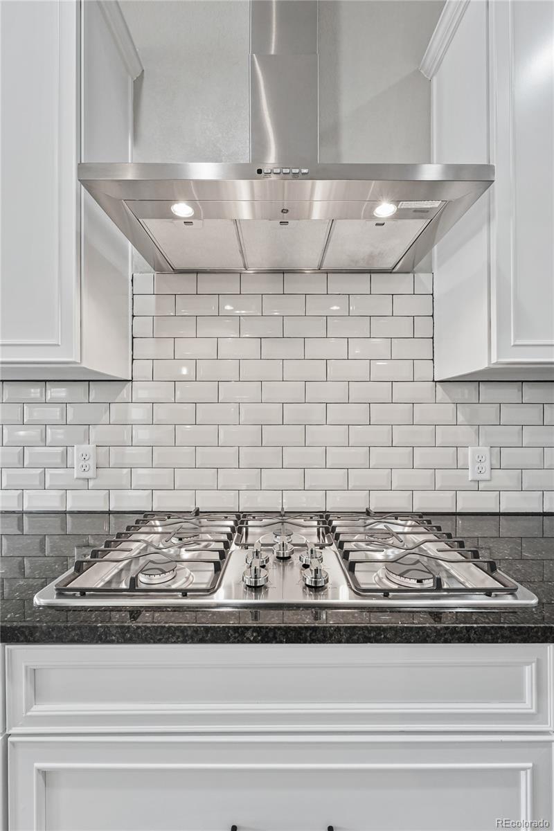 MLS Image #15 for 17106  birds foot avenue,parker, Colorado