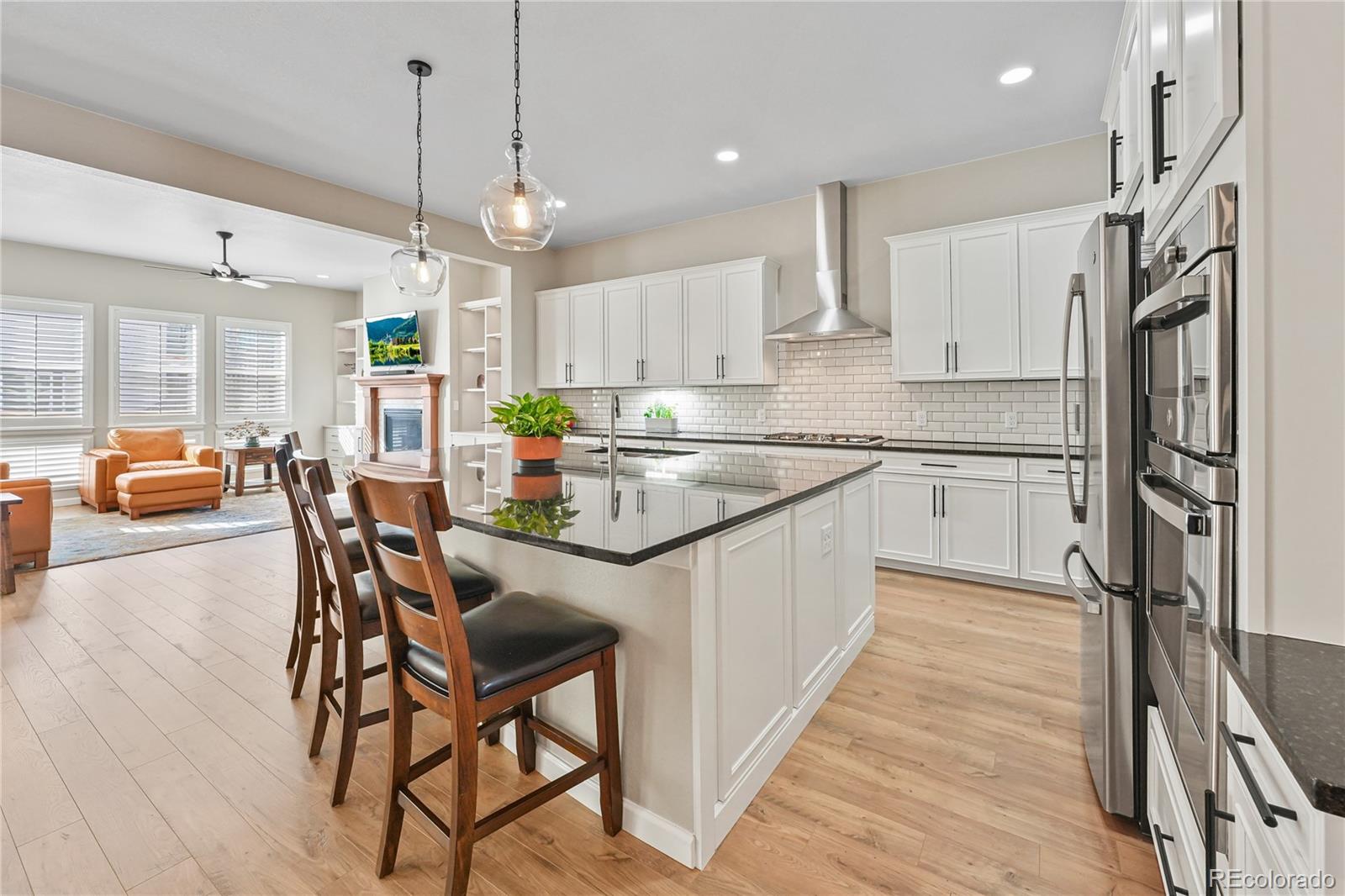 MLS Image #8 for 17106  birds foot avenue,parker, Colorado