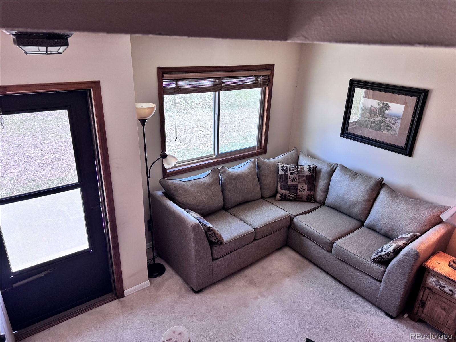MLS Image #11 for 9  granada court,westcliffe, Colorado