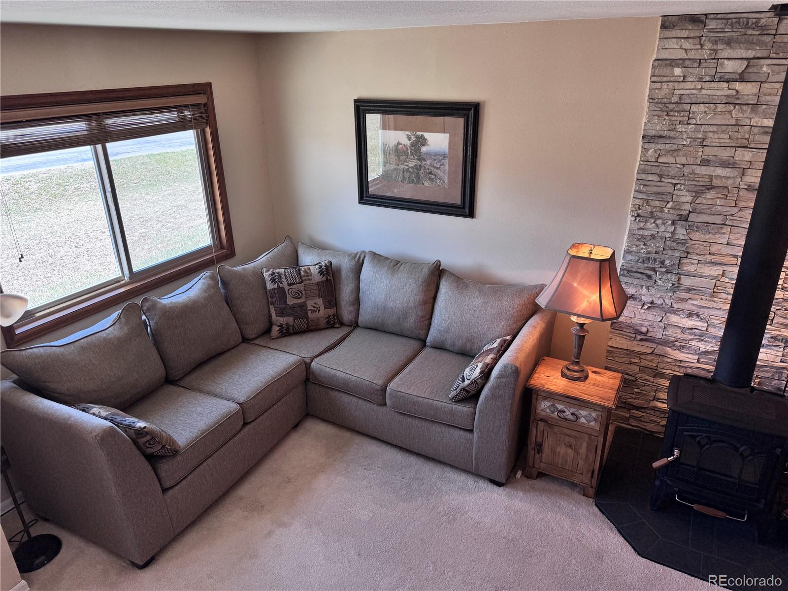 MLS Image #12 for 9  granada court,westcliffe, Colorado