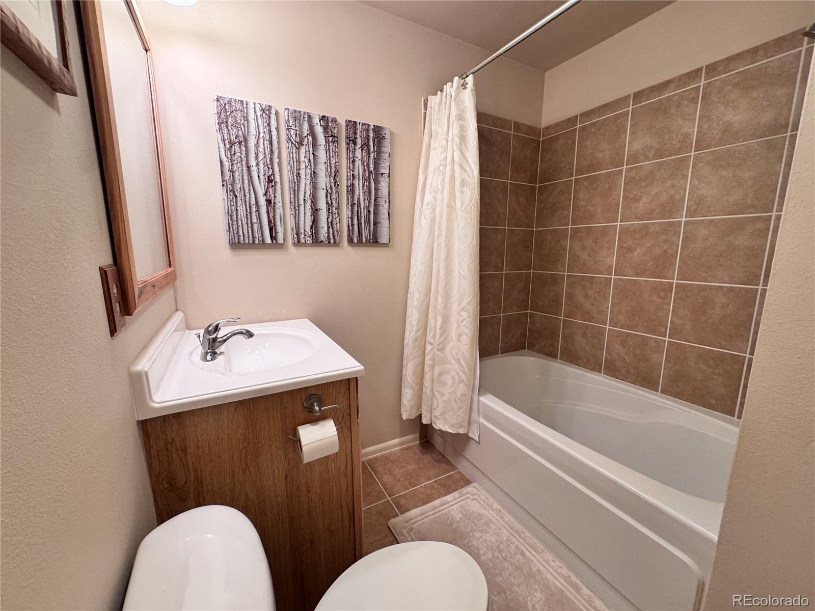 MLS Image #19 for 9  granada court,westcliffe, Colorado