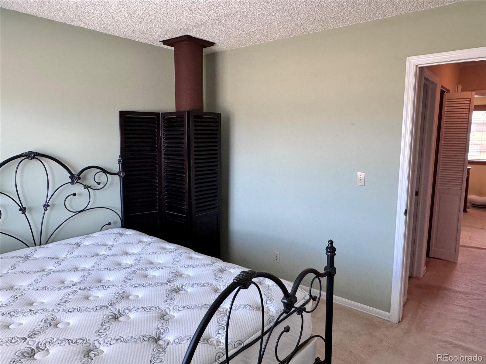 MLS Image #21 for 9  granada court,westcliffe, Colorado
