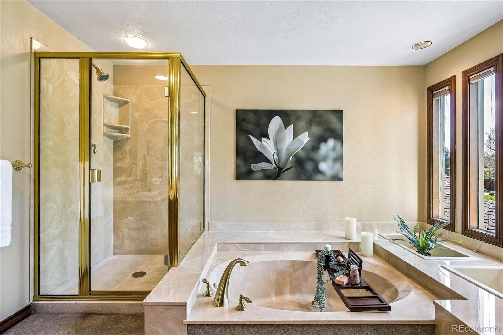 MLS Image #29 for 7715 s forest street,centennial, Colorado