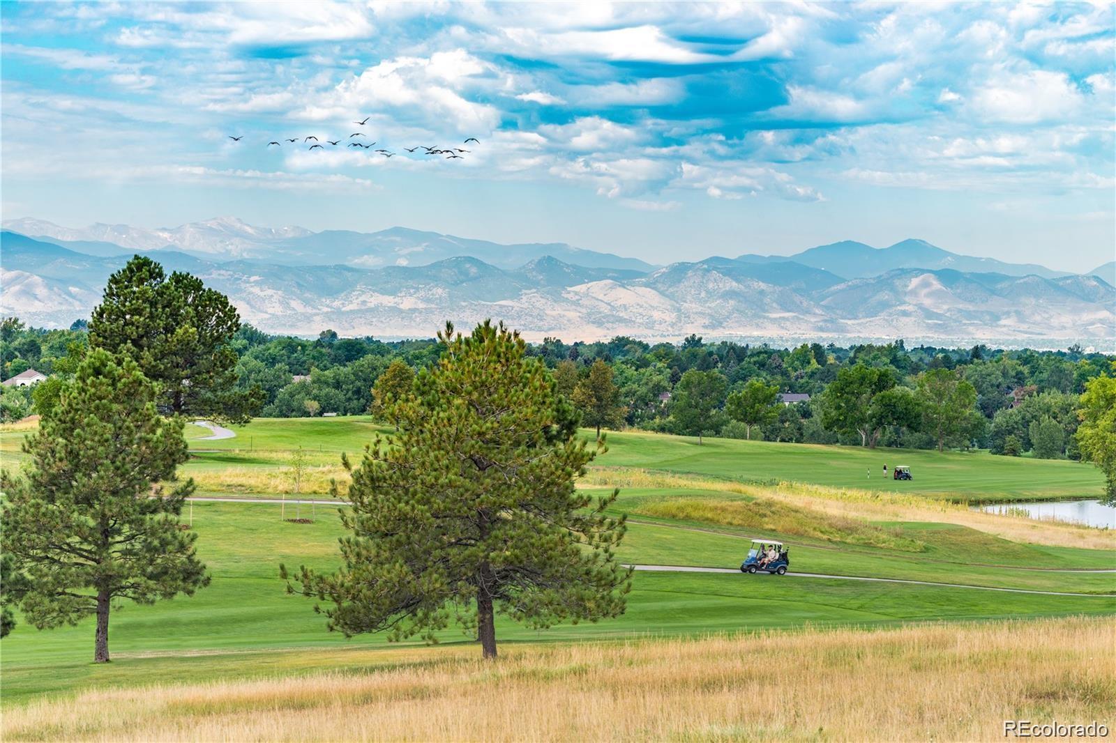 MLS Image #4 for 7715 s forest street,centennial, Colorado