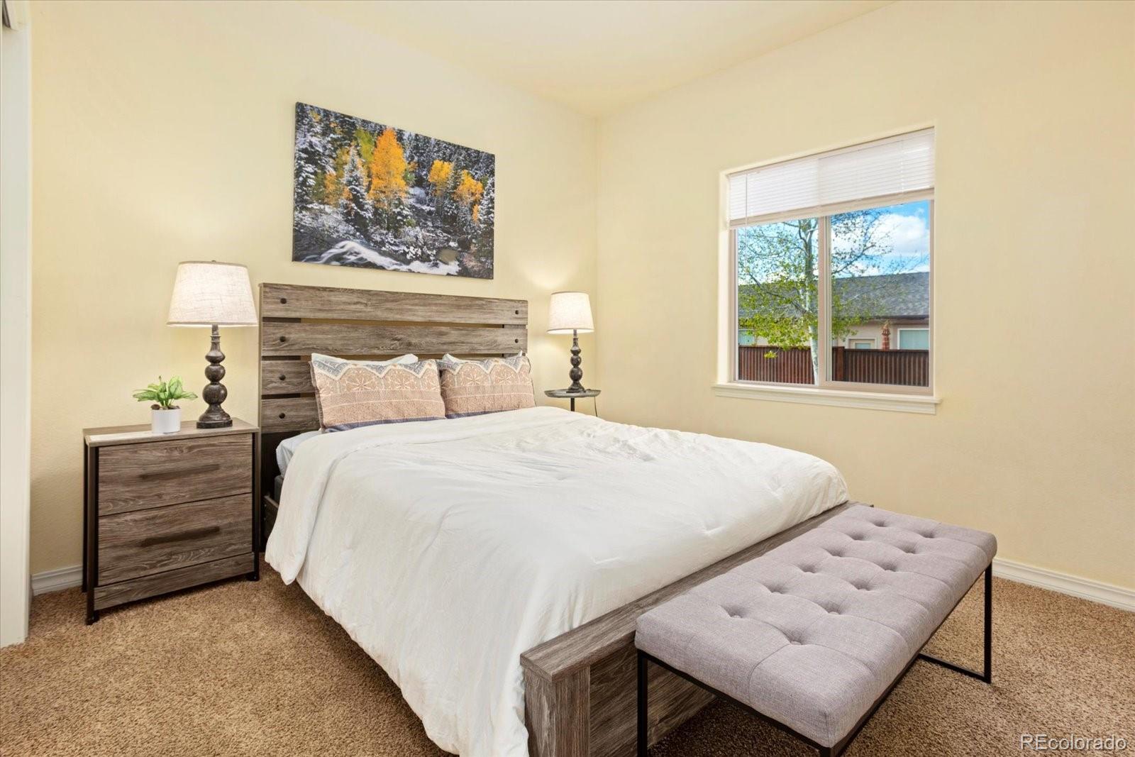 MLS Image #26 for 117  red tail boulevard,buena vista, Colorado