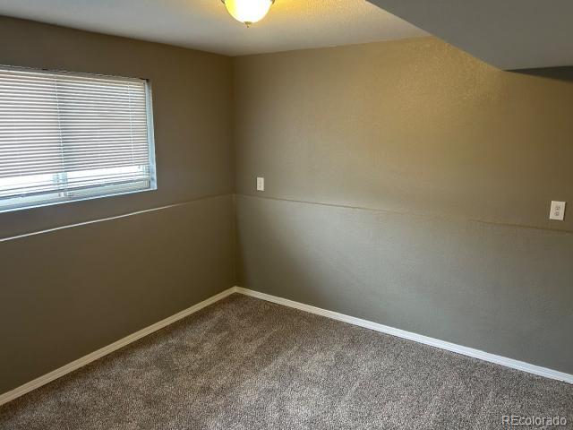 MLS Image #8 for 4598  wordsworth circle,colorado springs, Colorado