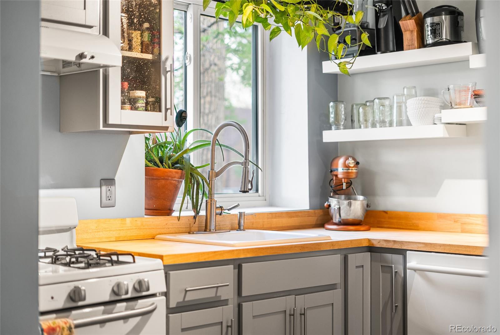 MLS Image #6 for 2600 w 42nd avenue,denver, Colorado
