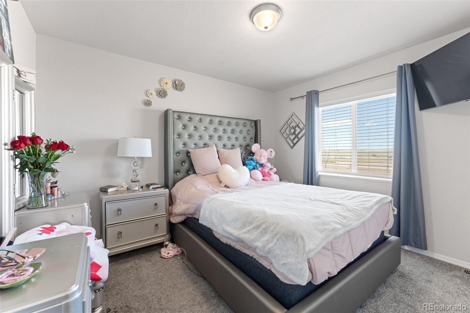 MLS Image #34 for 3768  vineyard circle,colorado springs, Colorado