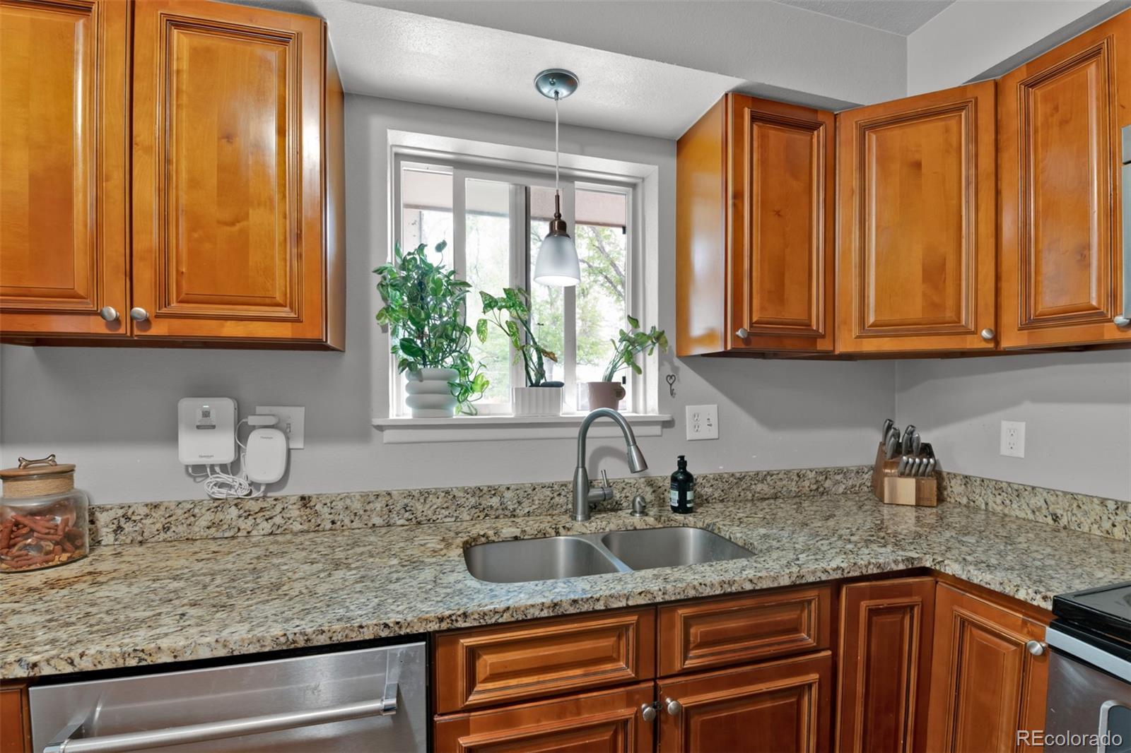 MLS Image #11 for 1512  rushmore drive,colorado springs, Colorado