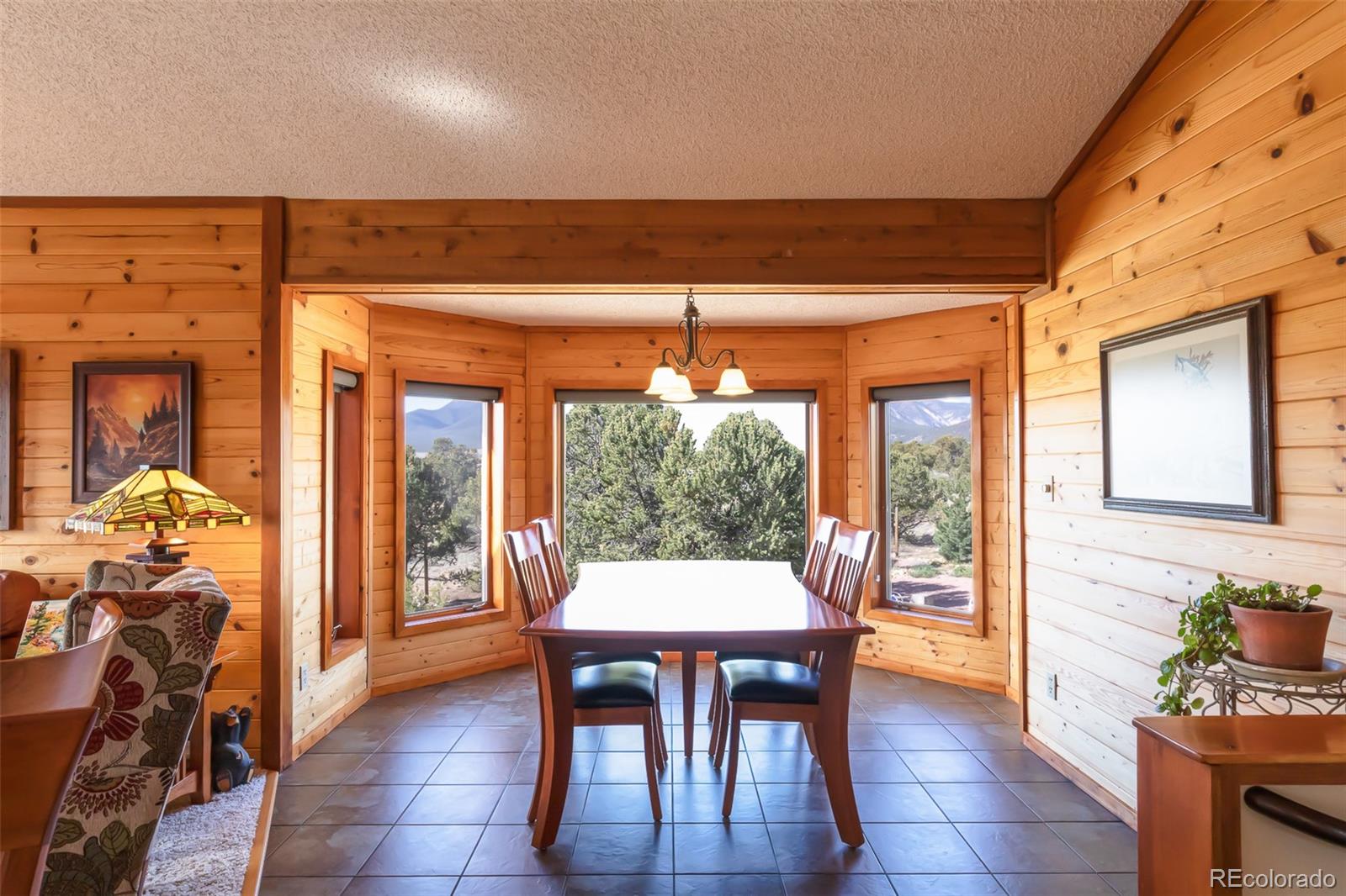 MLS Image #11 for 29255  pinon circle,buena vista, Colorado
