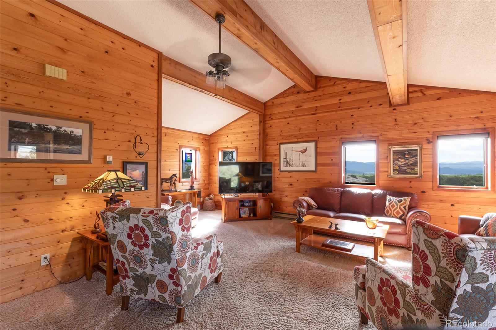 MLS Image #13 for 29255  pinon circle,buena vista, Colorado