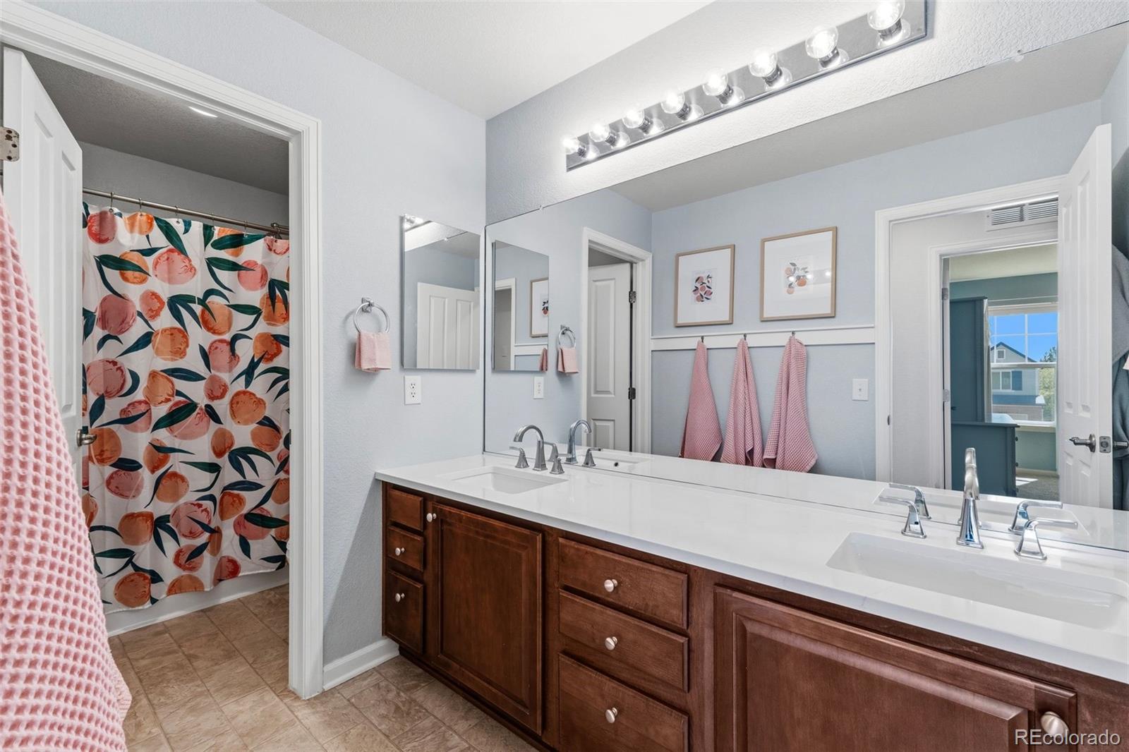 MLS Image #19 for 23245  barnsley lane,parker, Colorado