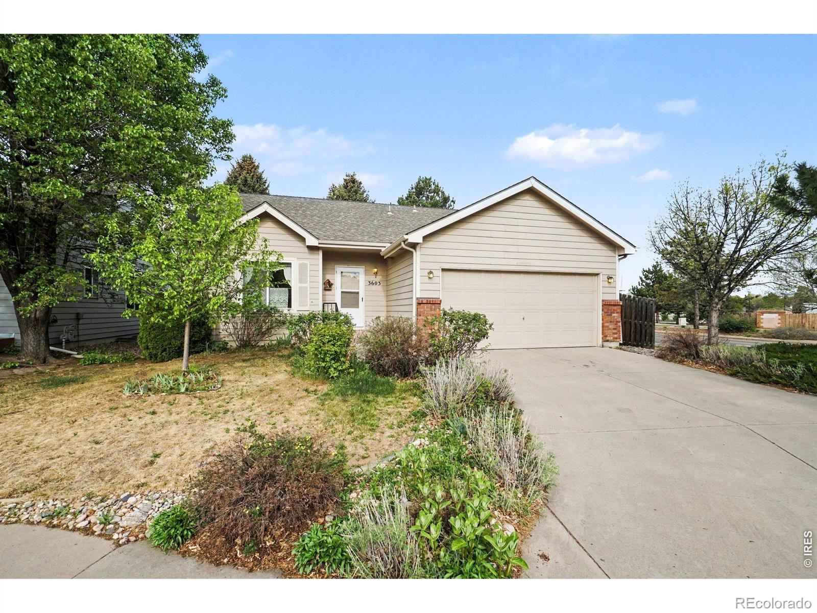 MLS Image #2 for 3603  rockaway street,fort collins, Colorado