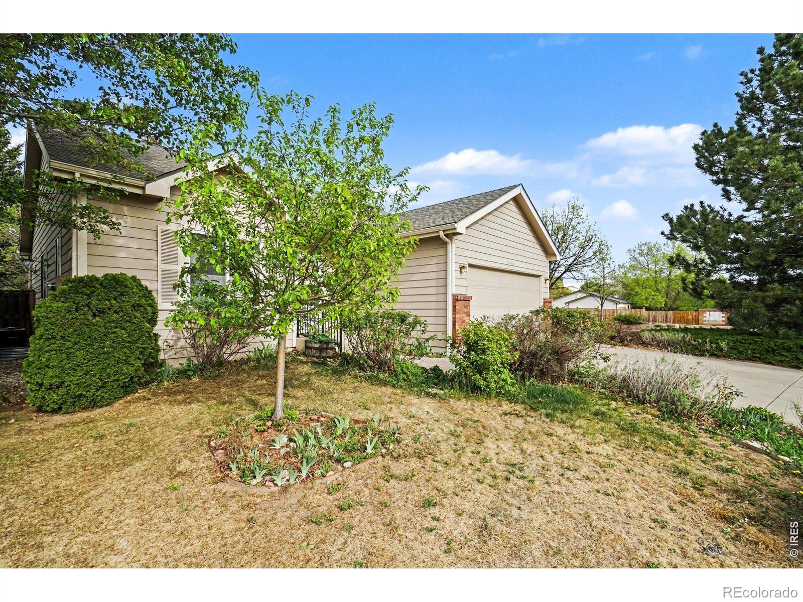 MLS Image #3 for 3603  rockaway street,fort collins, Colorado