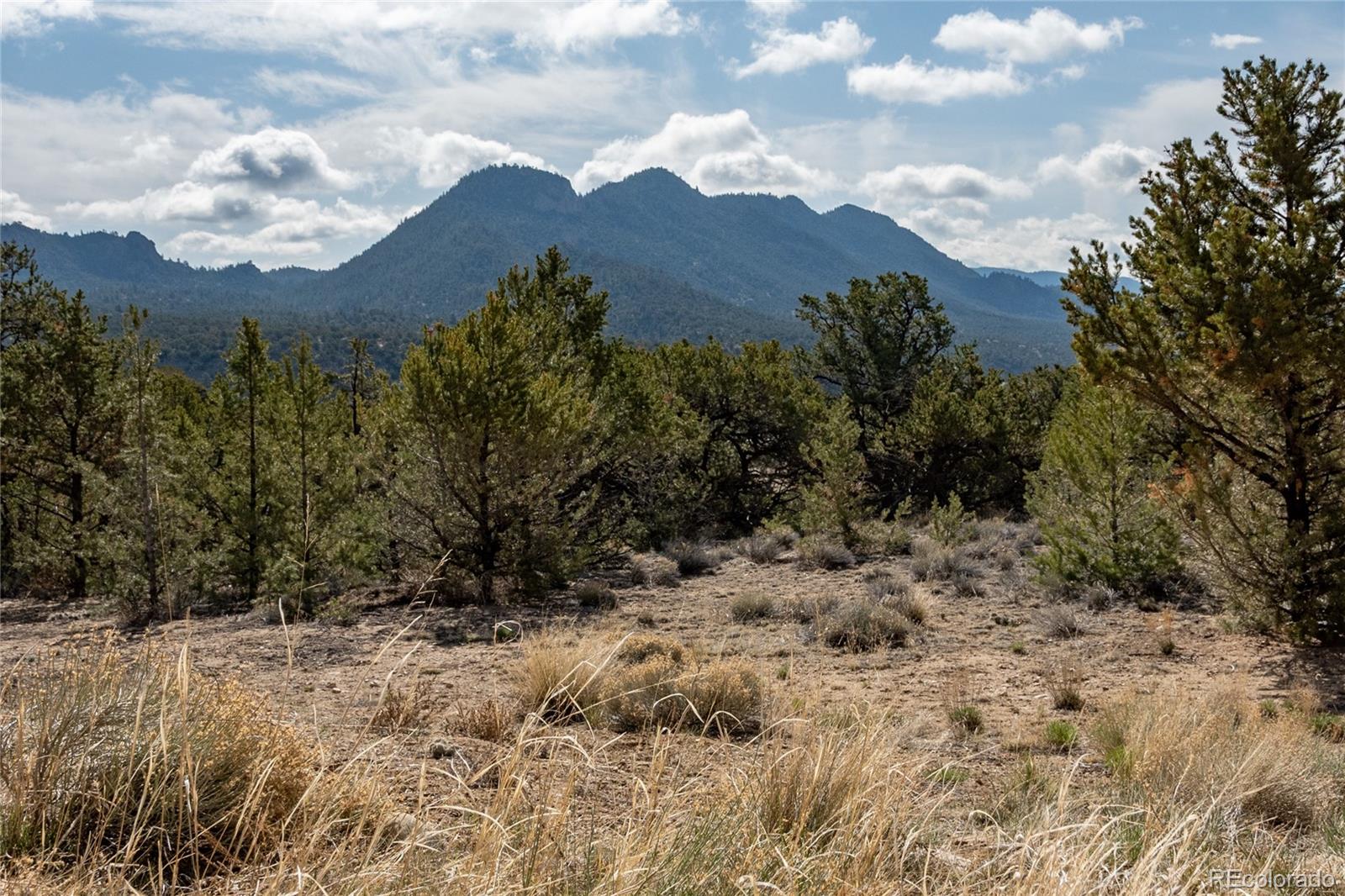 MLS Image #46 for 30563  stampede run,buena vista, Colorado