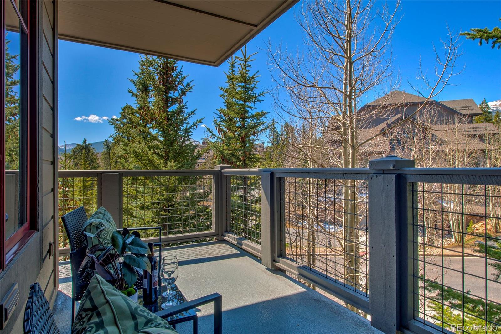 MLS Image #13 for 50  mountain thunder drive,breckenridge, Colorado