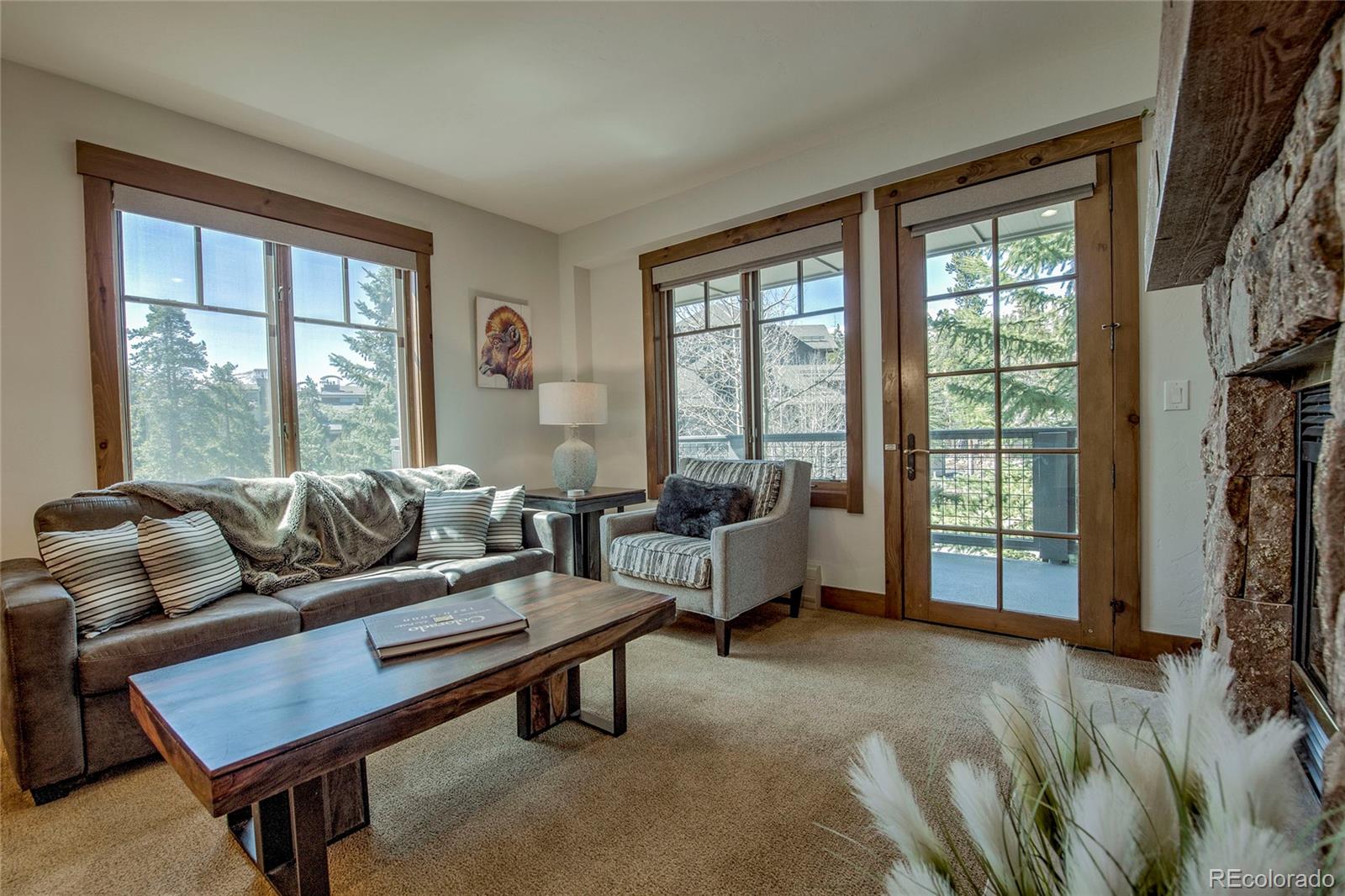 MLS Image #2 for 50  mountain thunder drive,breckenridge, Colorado