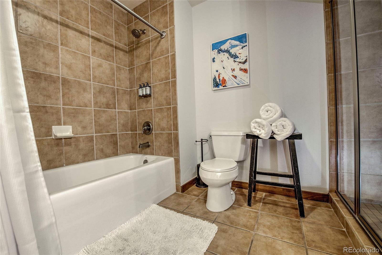 MLS Image #21 for 50  mountain thunder drive,breckenridge, Colorado