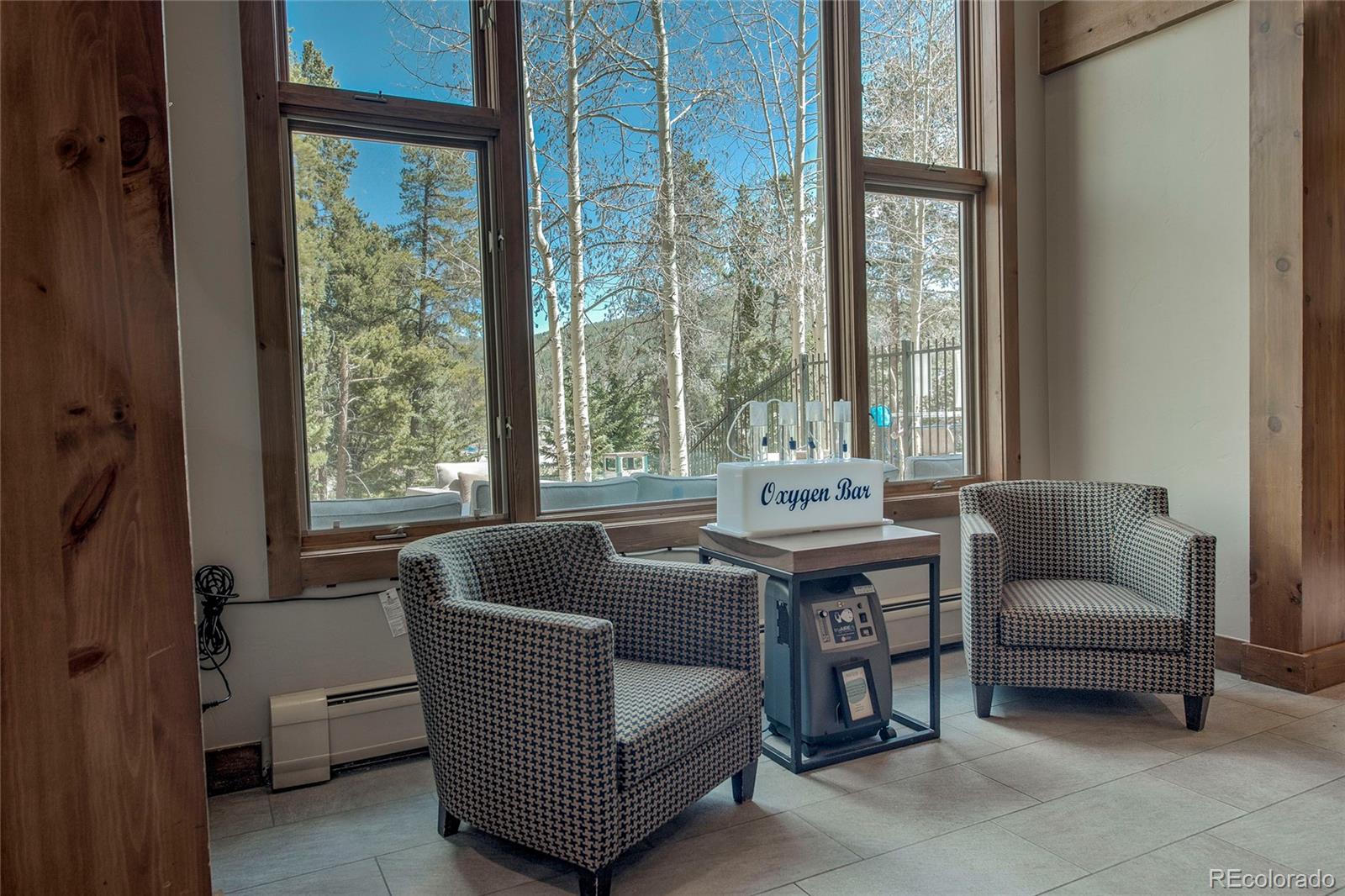 MLS Image #26 for 50  mountain thunder drive,breckenridge, Colorado