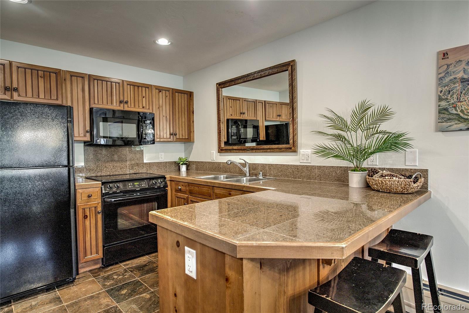 MLS Image #8 for 50  mountain thunder drive,breckenridge, Colorado
