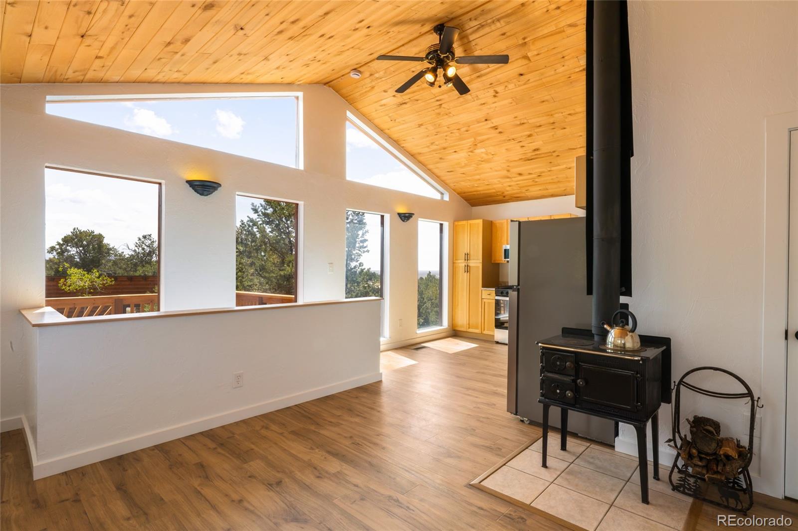 MLS Image #10 for 1477 e badger road,crestone, Colorado