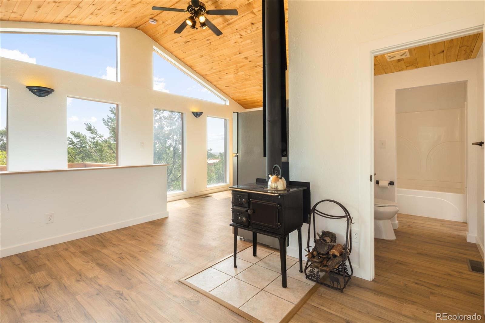 MLS Image #15 for 1477 e badger road,crestone, Colorado