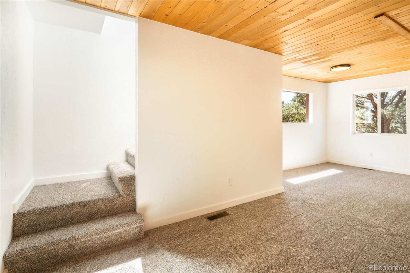 MLS Image #28 for 1477 e badger road,crestone, Colorado