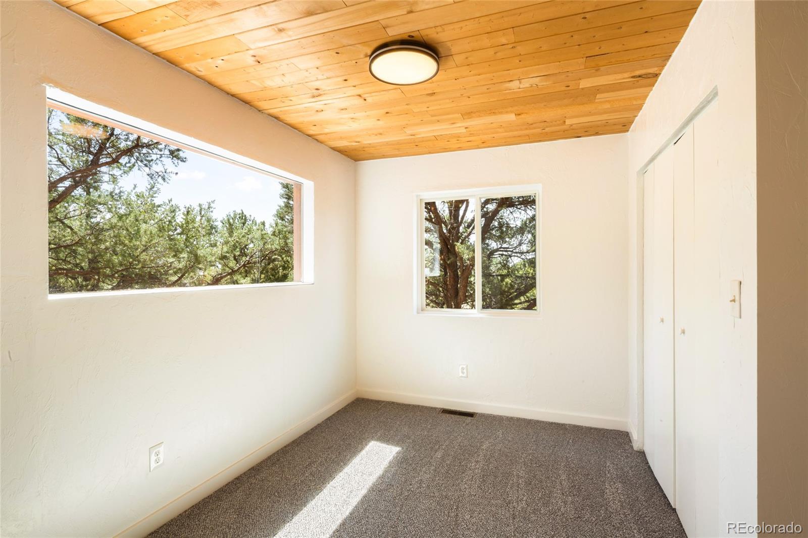 MLS Image #31 for 1477 e badger road,crestone, Colorado