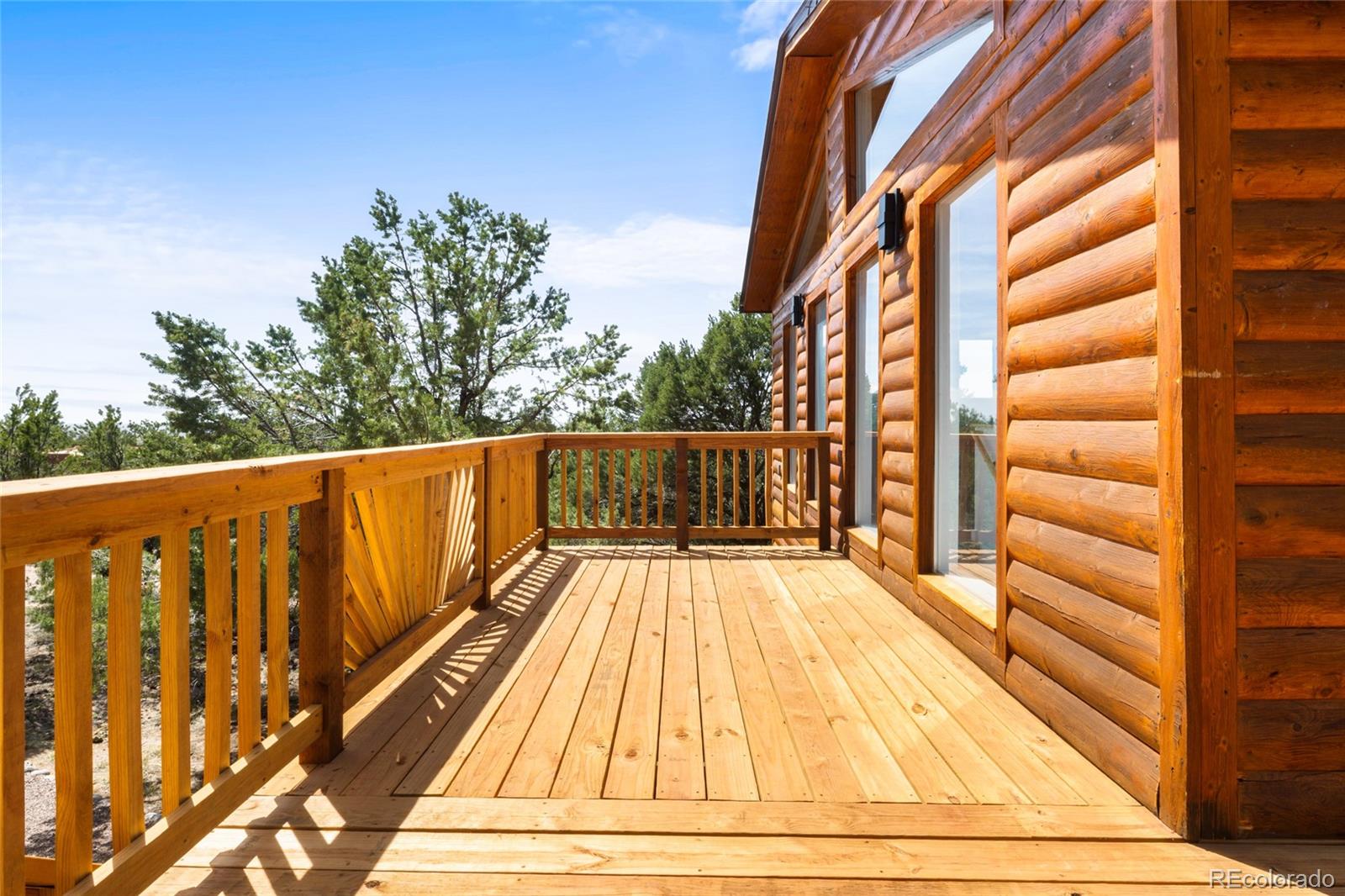 MLS Image #5 for 1477 e badger road,crestone, Colorado