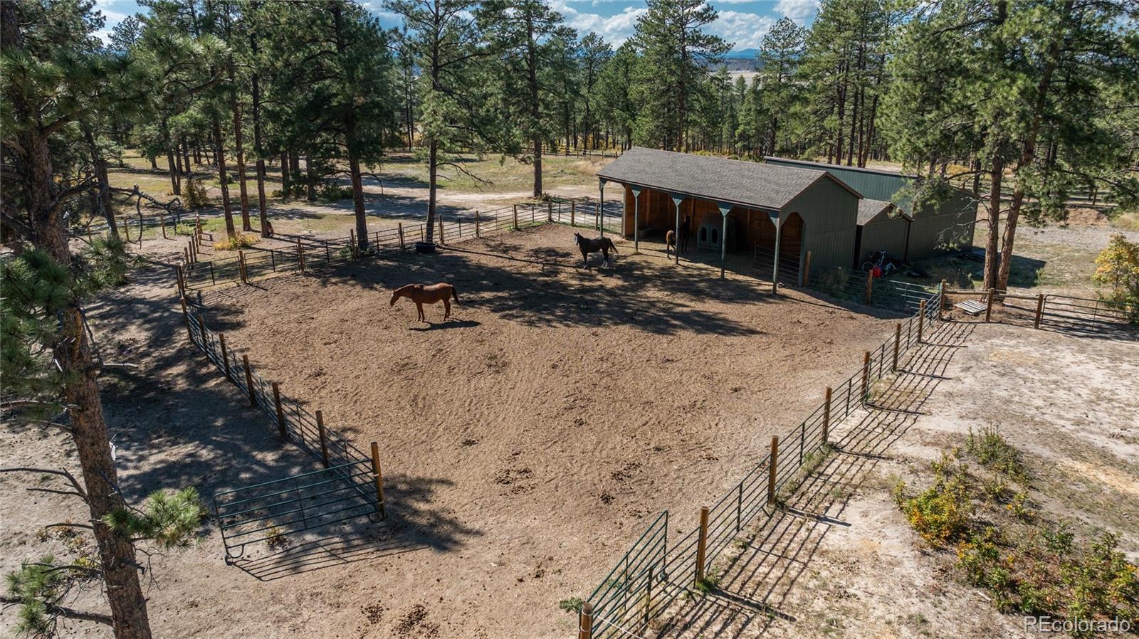 MLS Image #7 for 854 n russellville road,franktown, Colorado