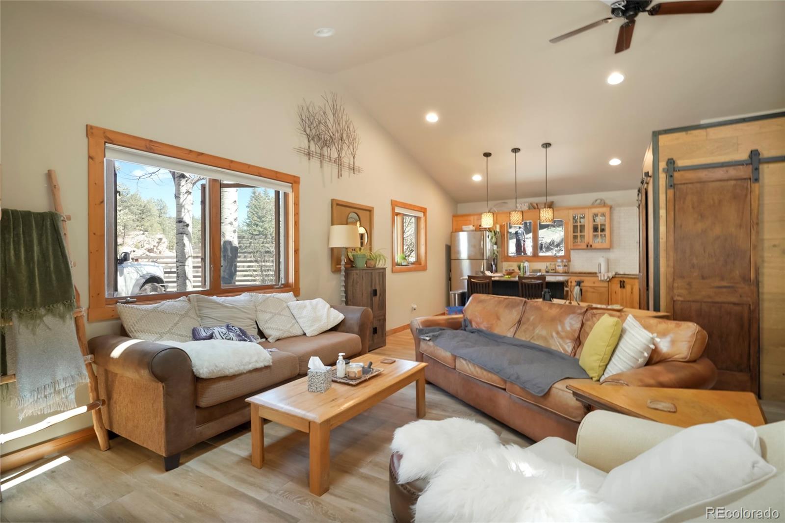 MLS Image #20 for 32114  upper bear creek road,evergreen, Colorado