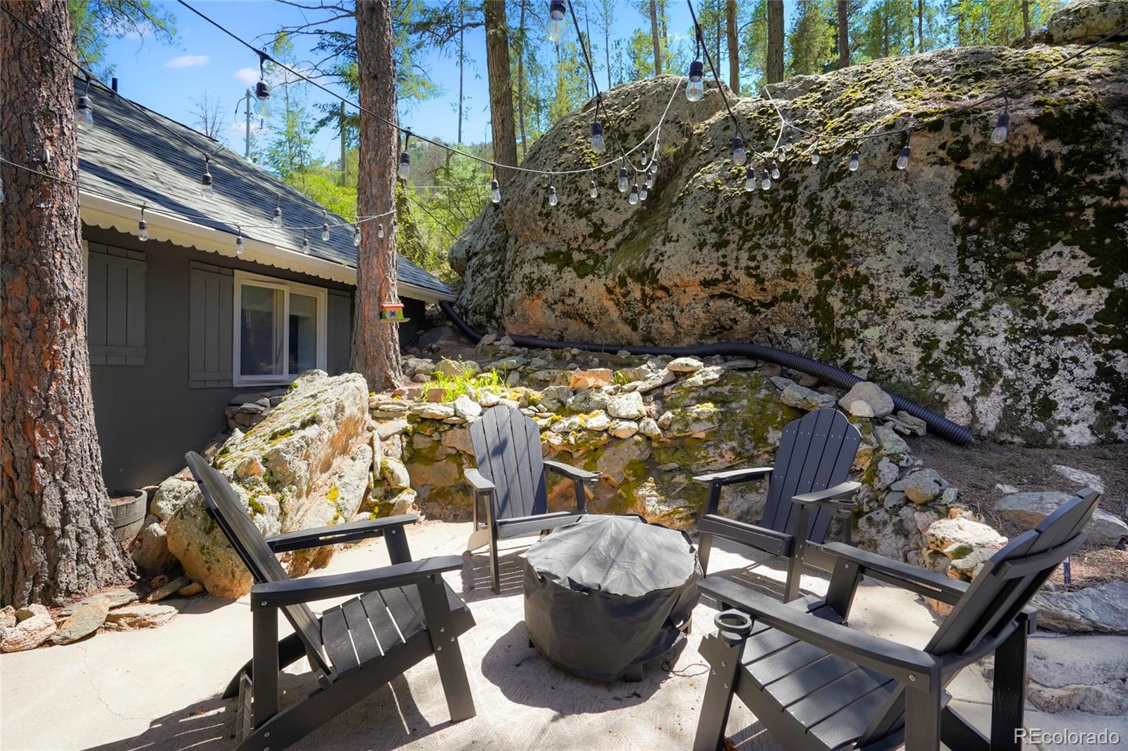 MLS Image #4 for 32114  upper bear creek road,evergreen, Colorado