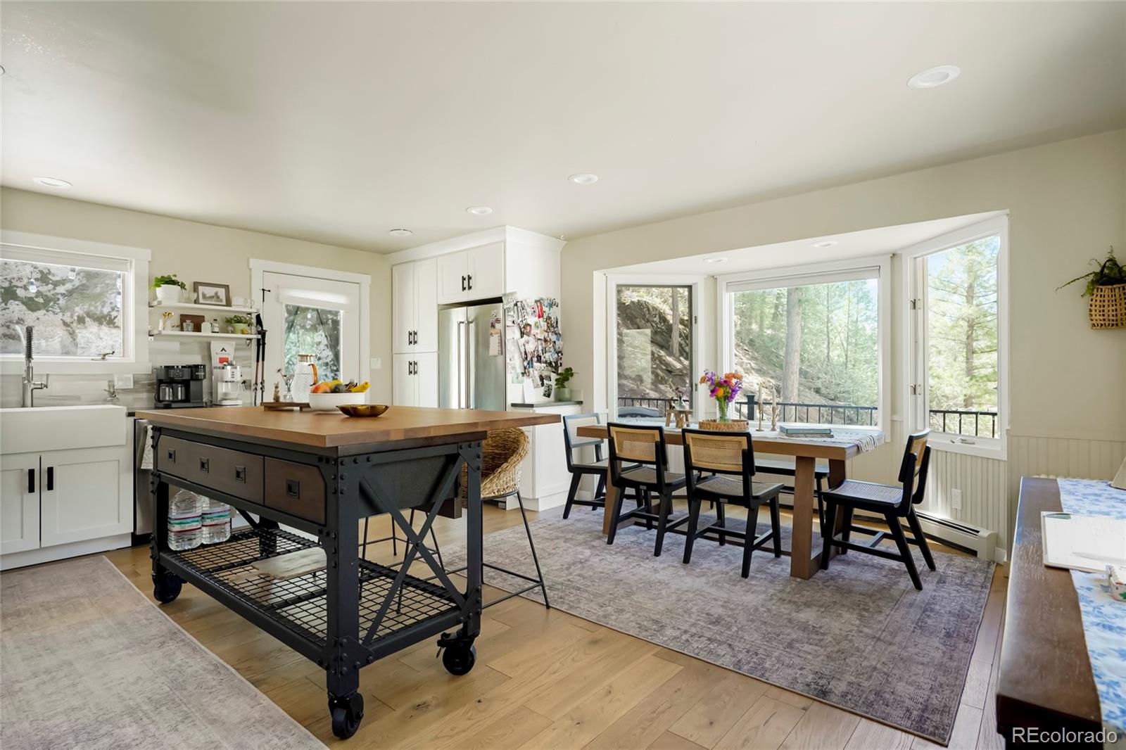 MLS Image #6 for 32114  upper bear creek road,evergreen, Colorado