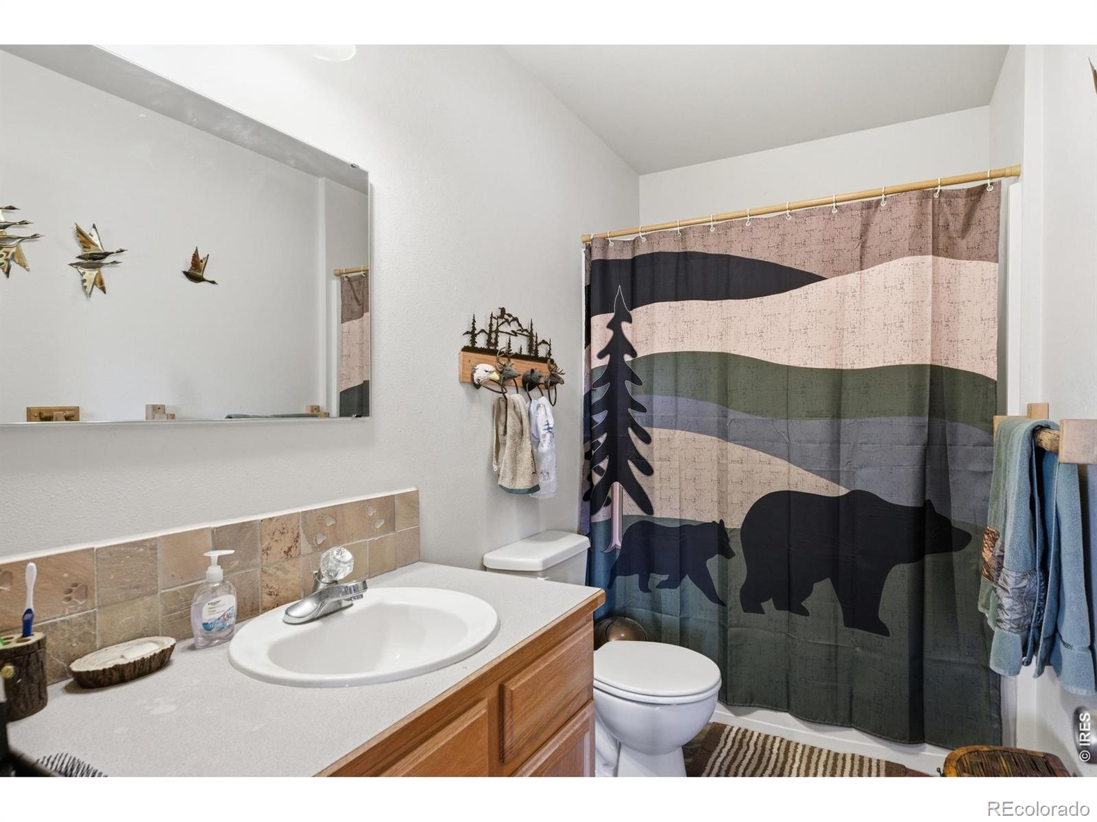MLS Image #18 for 130  forest way,red feather lakes, Colorado