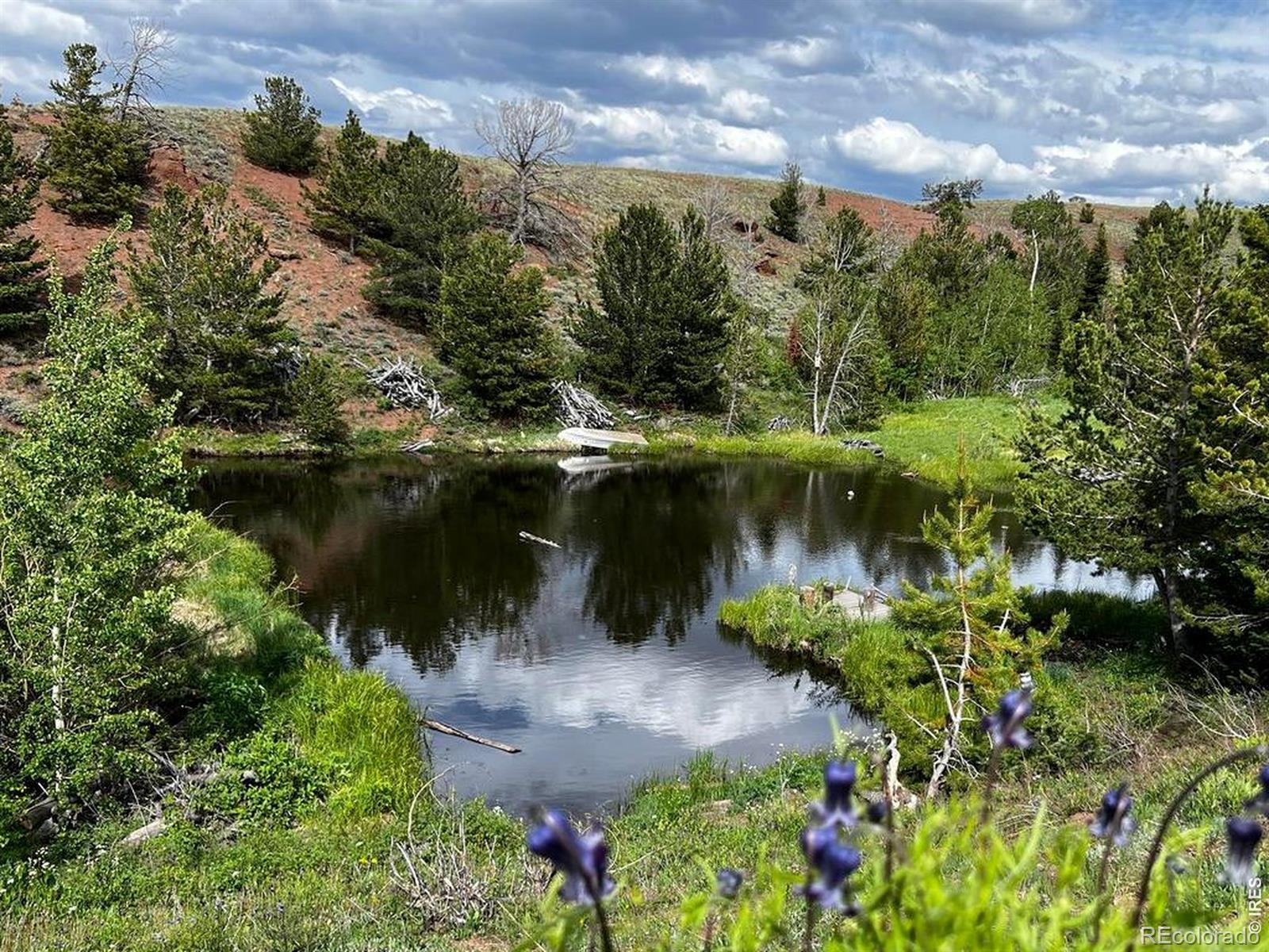 MLS Image #39 for 130  forest way,red feather lakes, Colorado