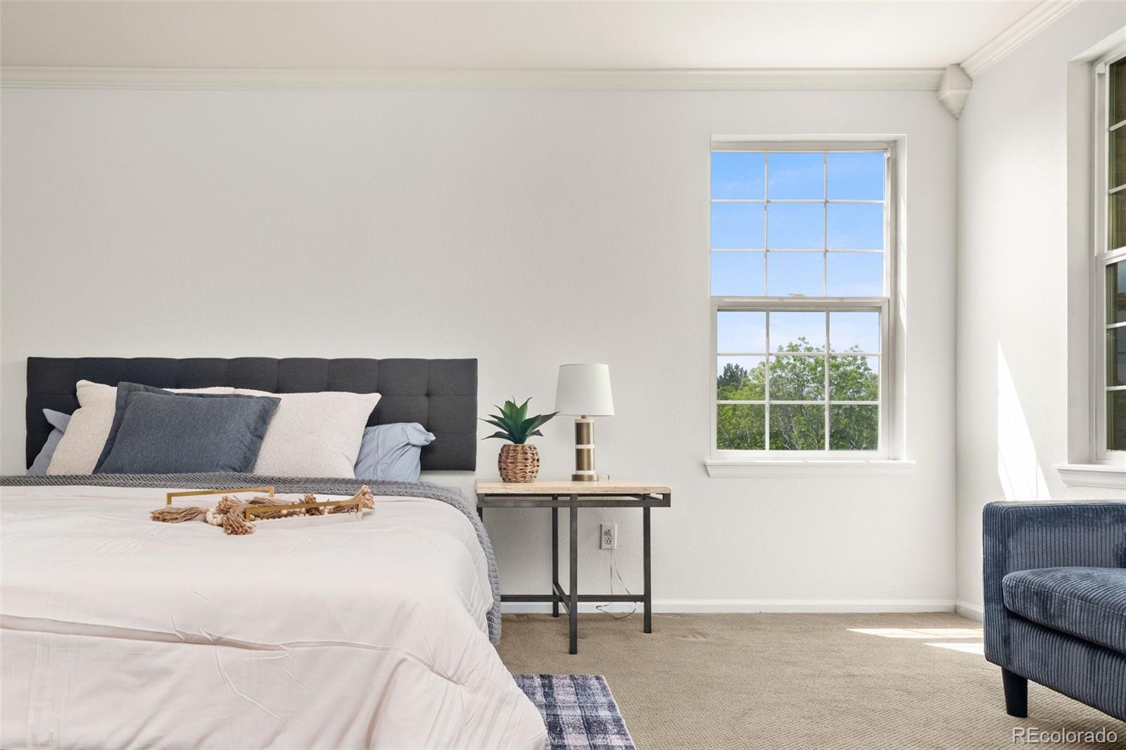 MLS Image #25 for 7304 e cedar avenue,denver, Colorado