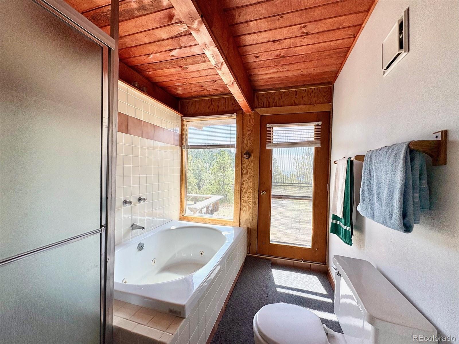 MLS Image #17 for 2121  cr 1 ,florissant, Colorado
