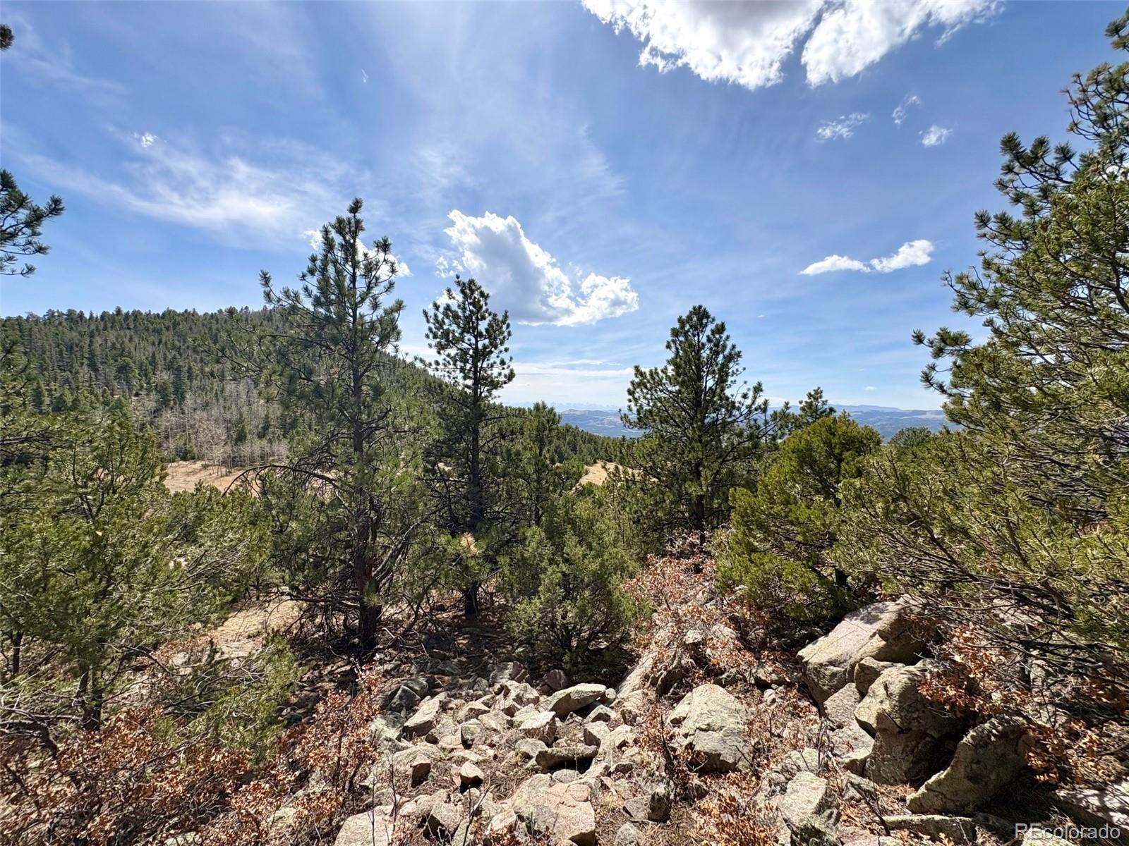 MLS Image #2 for 2121  cr 1 ,florissant, Colorado