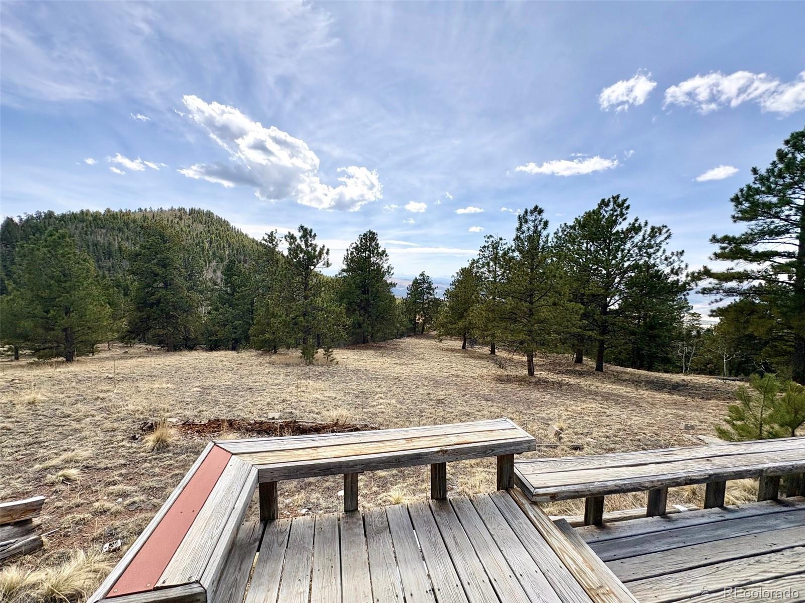 MLS Image #22 for 2121  cr 1 ,florissant, Colorado