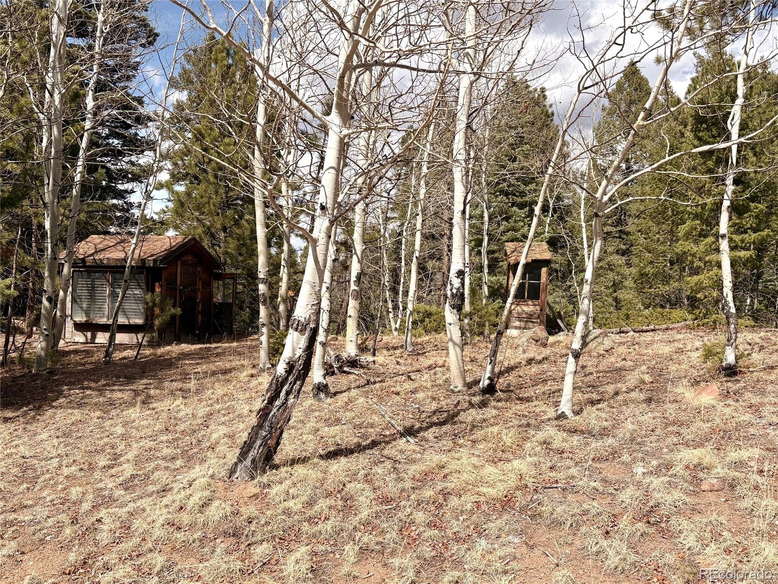 MLS Image #28 for 2121  cr 1 ,florissant, Colorado