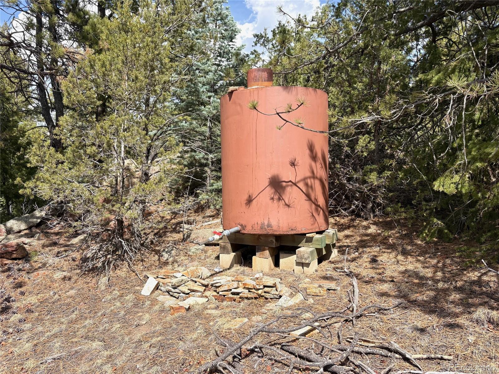 MLS Image #29 for 2121  cr 1 ,florissant, Colorado