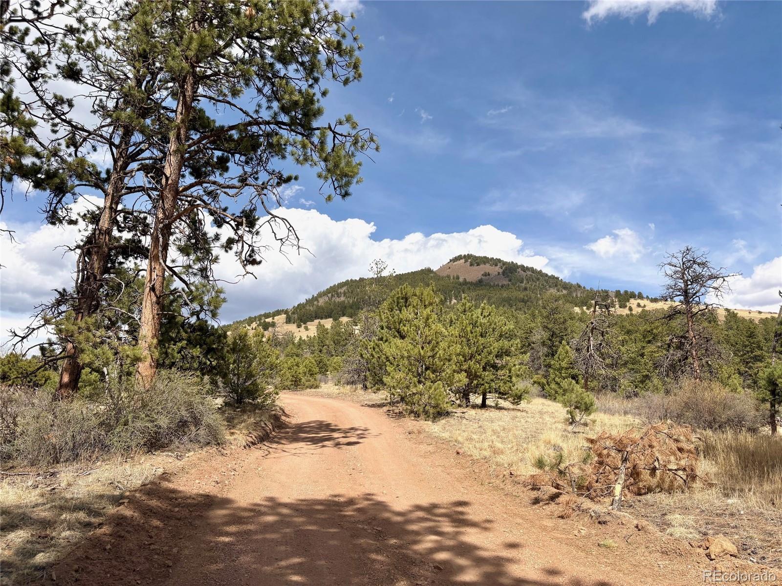MLS Image #3 for 2121  cr 1 ,florissant, Colorado