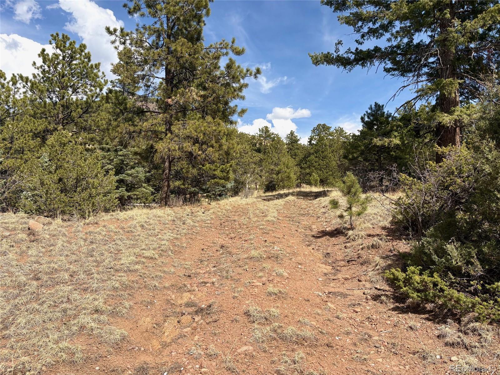 MLS Image #33 for 2121  cr 1 ,florissant, Colorado