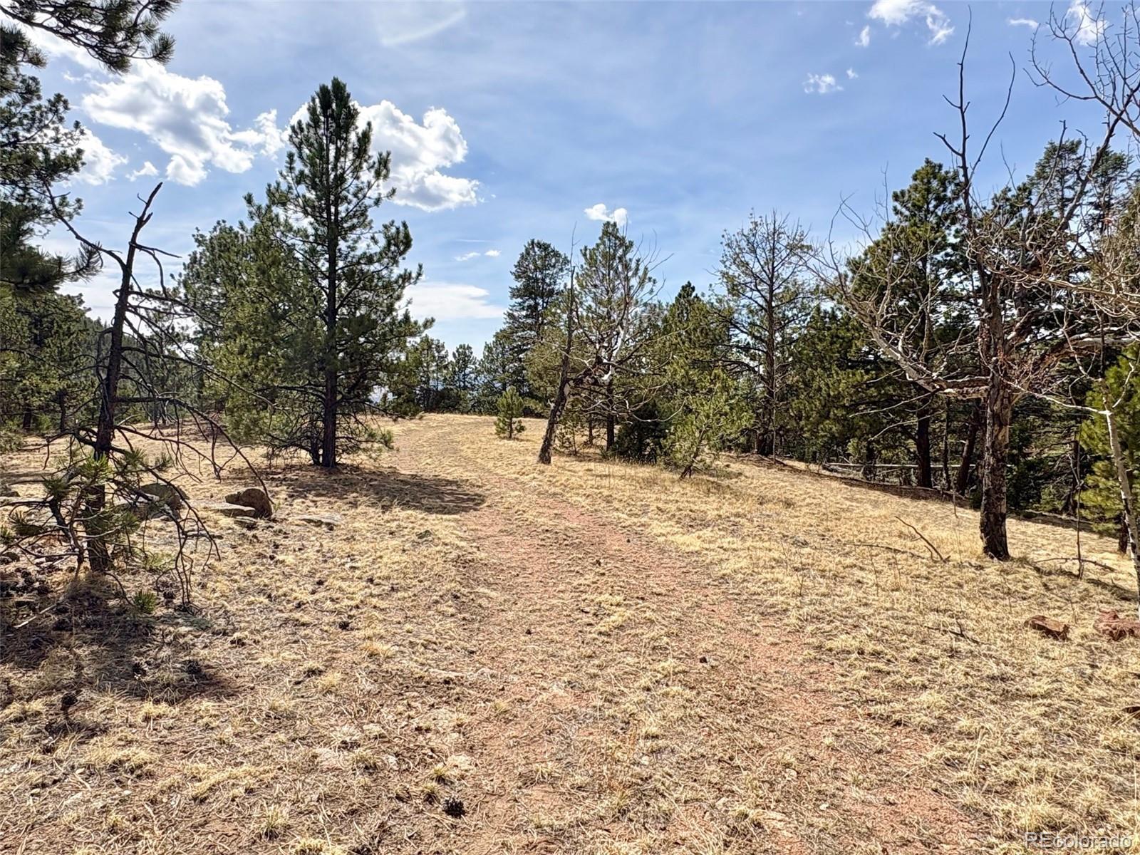 MLS Image #34 for 2121  cr 1 ,florissant, Colorado